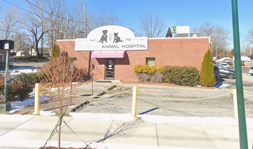 All Saints Animal Hospital