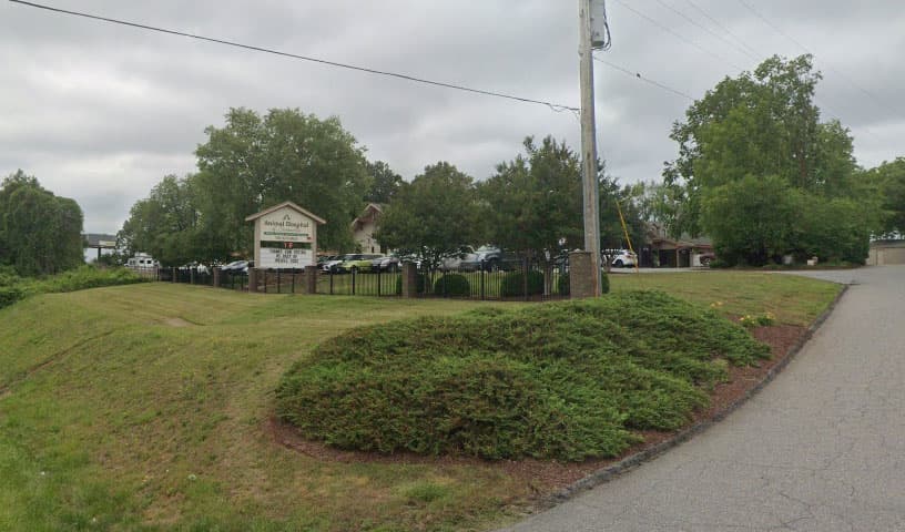Animal Hospital of Statesville