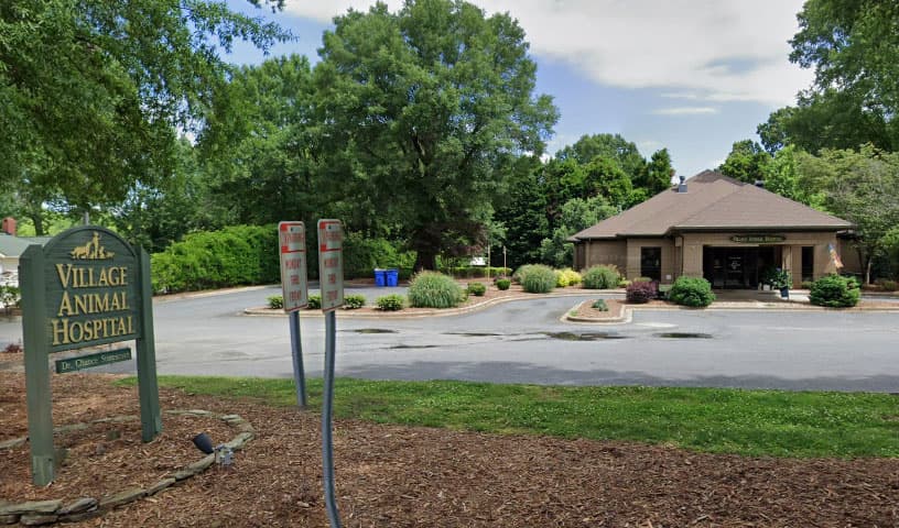 Village Animal Hospital