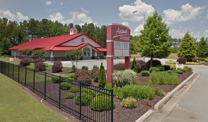 All Animals Veterinary Hospital