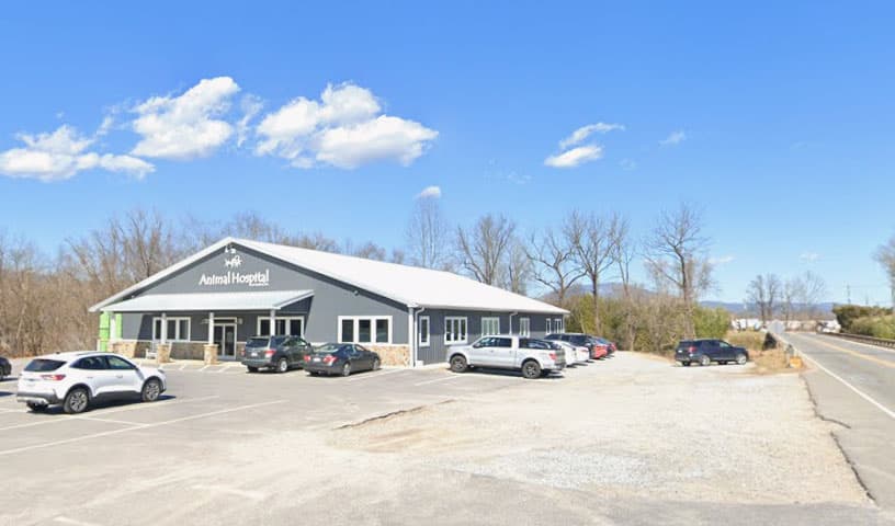 Animal Hospital of Marion