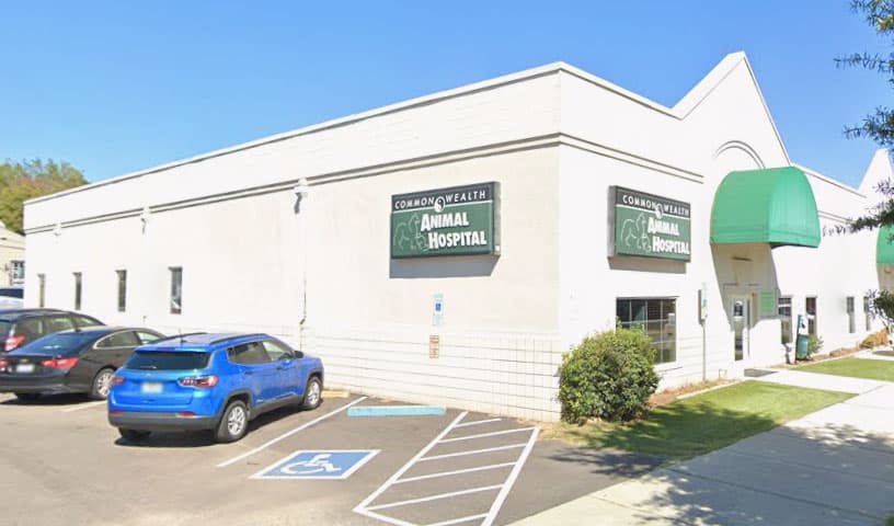 Commonwealth Animal Hospital