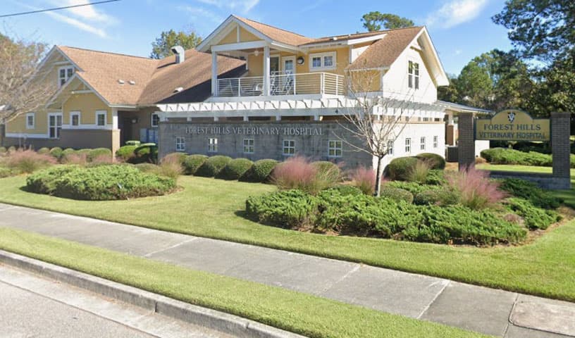 Forest Hills Veterinary Hospital