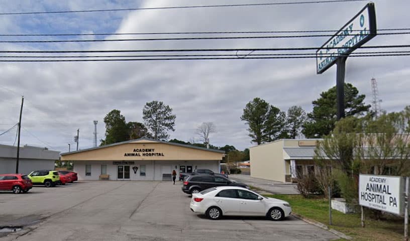 Academy Animal Hospital