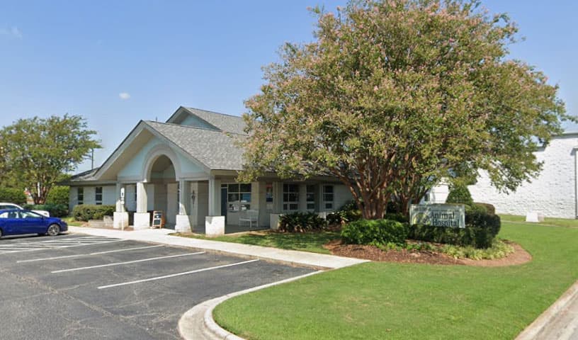 Tenth Street Animal Hospital
