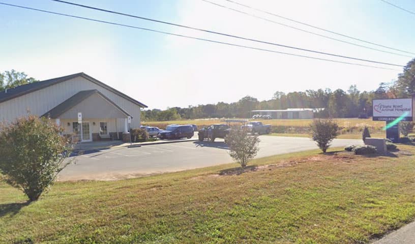 State Road Animal Hospital