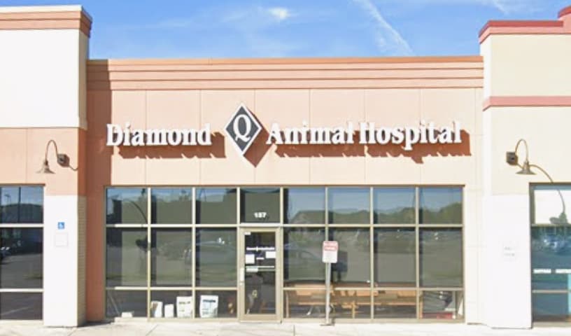 Red River Animal Emergency Hospital & Referral Center