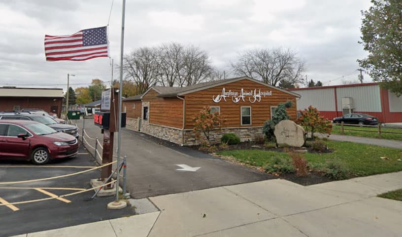 Auglaize Animal Hospital