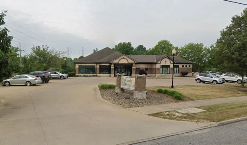 Big Creek Pet Hospital