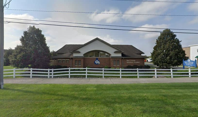 Best Friends Veterinary Hospital
