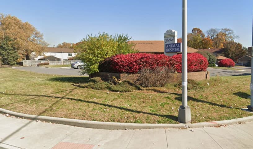 Bethel Animal Hospital
