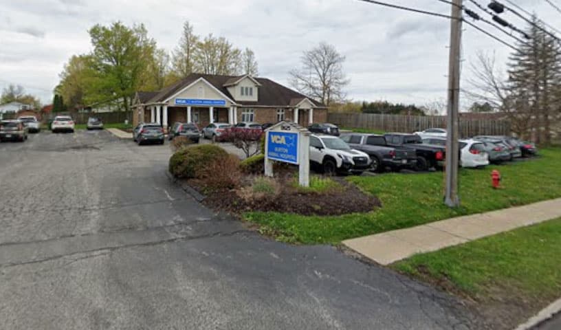 VCA Burton Animal Hospital