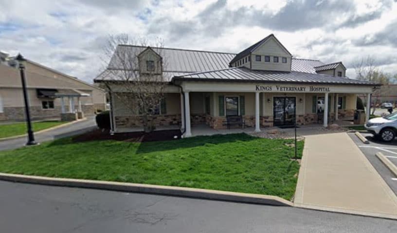 Kings Veterinary Hospital
