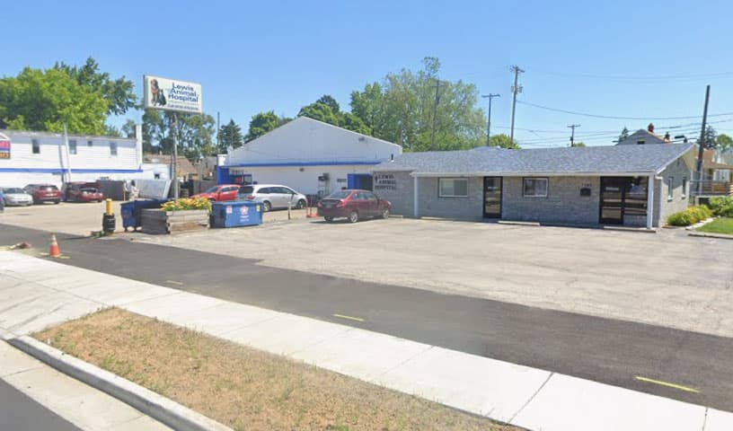 Lewis Animal Hospital