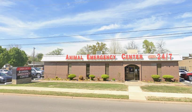 Animal Emergency & Surgical Center