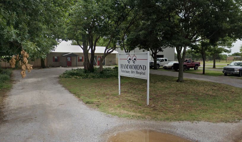 Hammond Veterinary Hospital