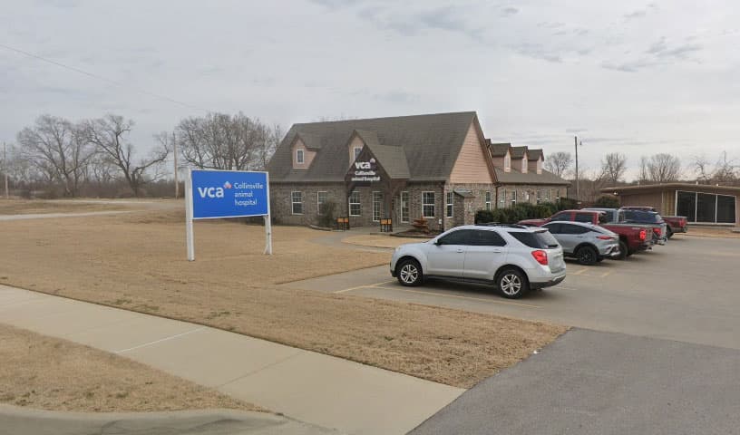 Collinsville Veterinary Hospital