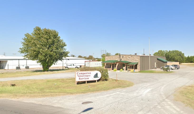 Companion Veterinary Services