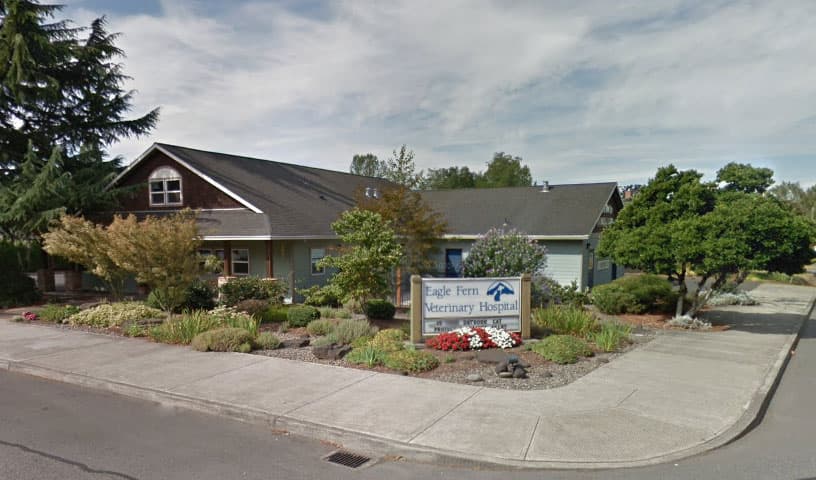 Eagle Fern Veterinary Hospital