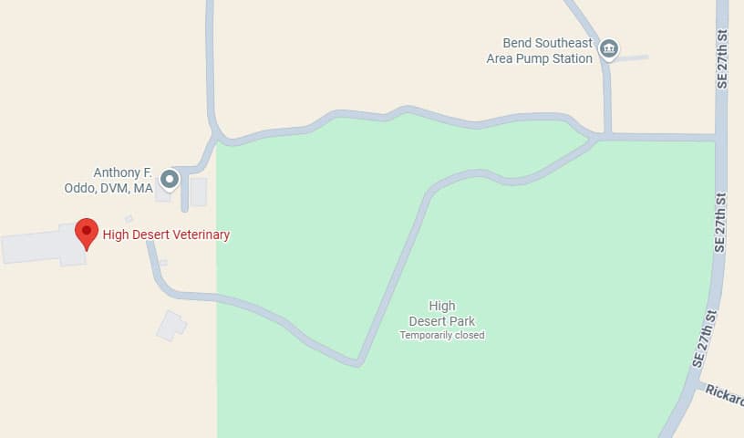 High Desert Veterinary
