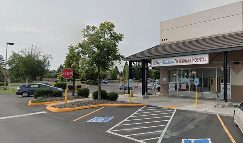 Mount Bachelor Veterinary Hospital