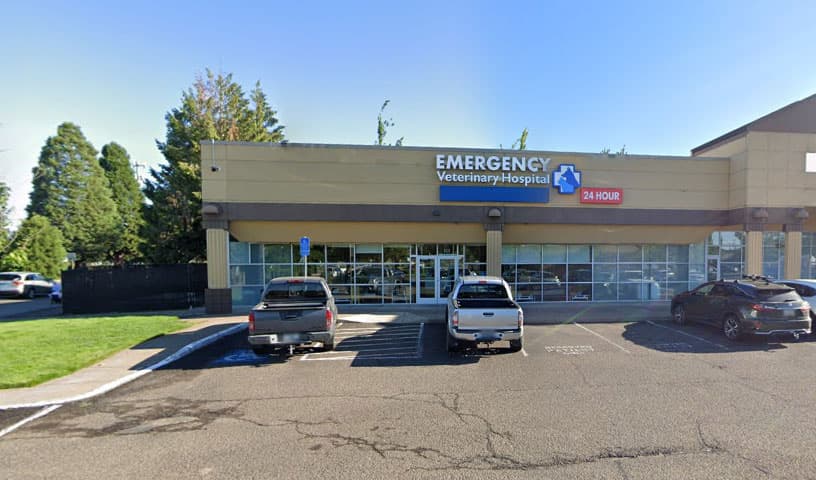 Emergency Veterinary Hospital