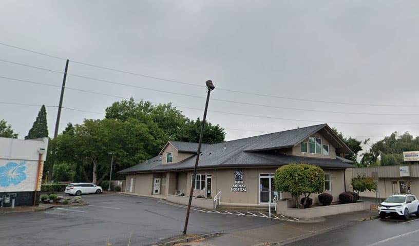 Bush Animal Hospital