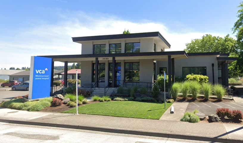 VCA Westmoreland Animal Hospital