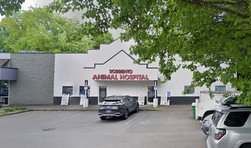 Sorrento Animal Hospital