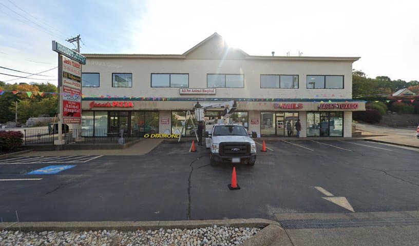 All Pet Animal Hospital
