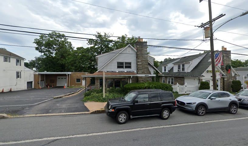 Broomall Animal Hospital