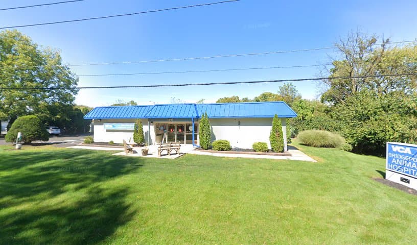 VCA Bridgeport Animal Hospital