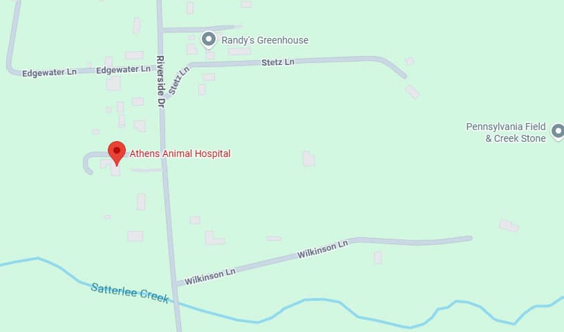 Athens Animal Hospital
