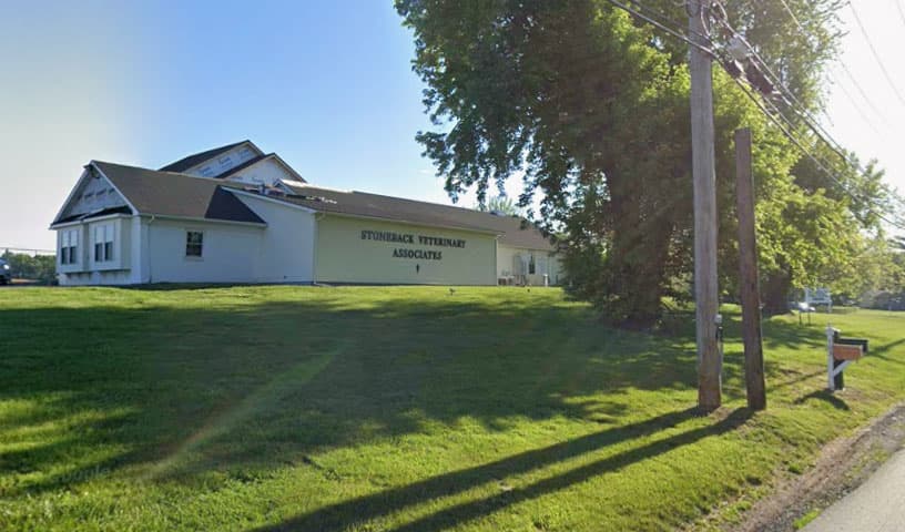 Stoneback Veterinary Associates