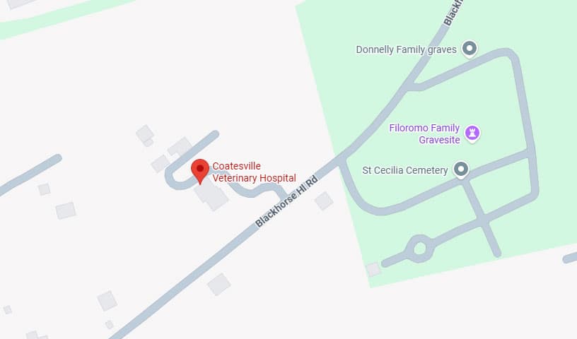 Coatesville Veterinary Hospital
