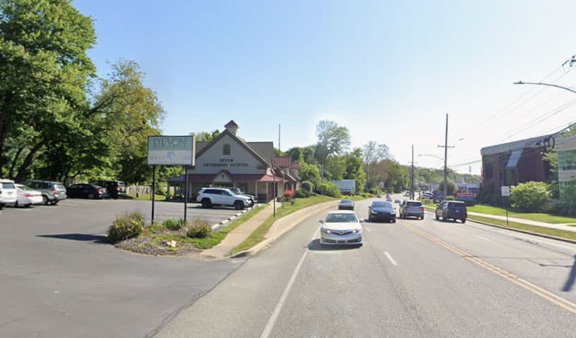 Devon Veterinary Hospital