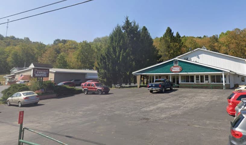 Drummond Animal Hospital