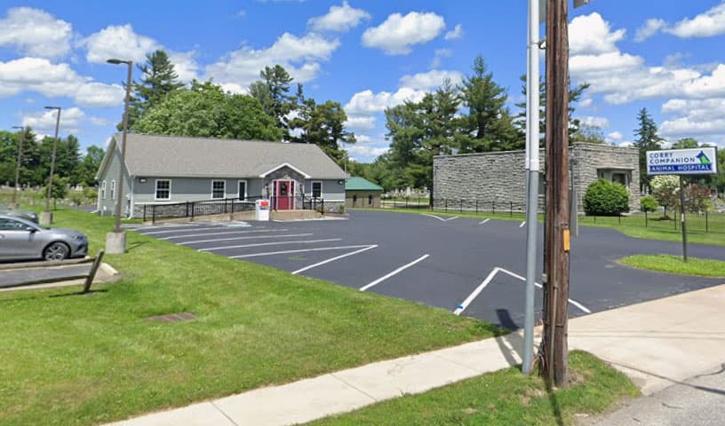 Corry Companion Animal Hospital