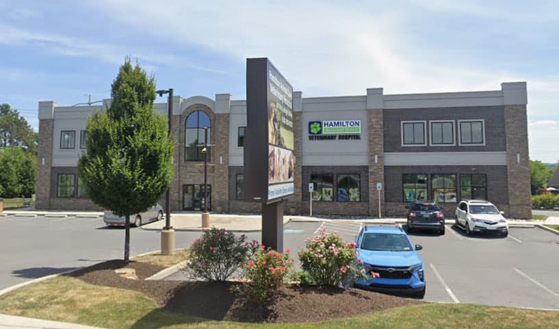 Hamilton Animal Care of the Lehigh Valley