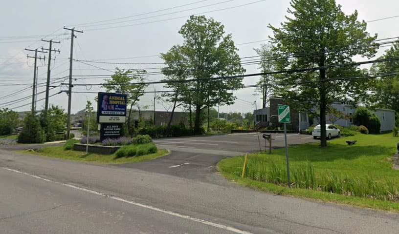 Animal Hospital of Mount Pocono
