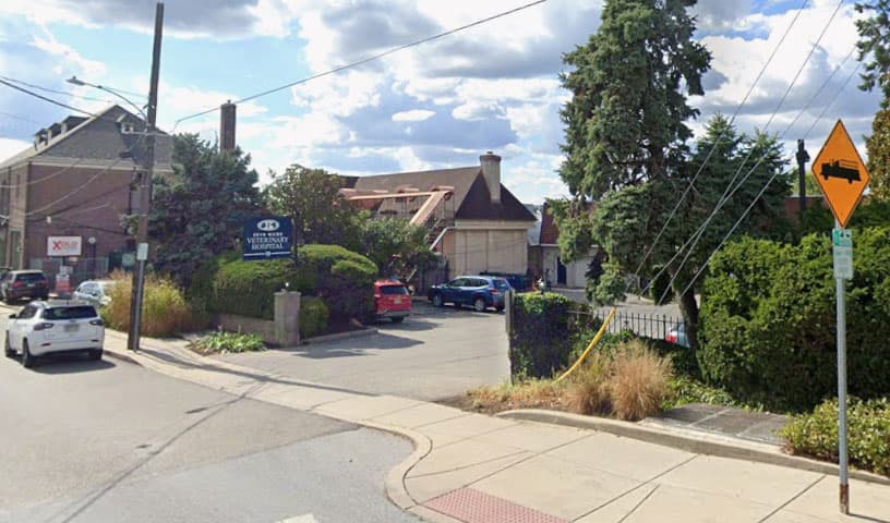 Bryn Mawr Veterinary Hospital