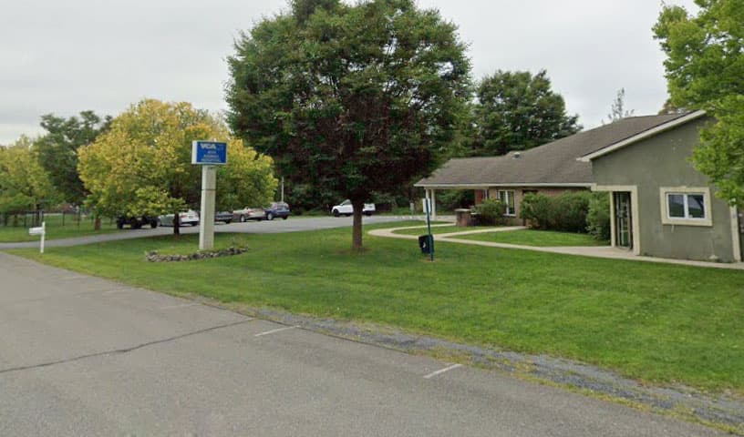 VCA AVH Animal Hospital
