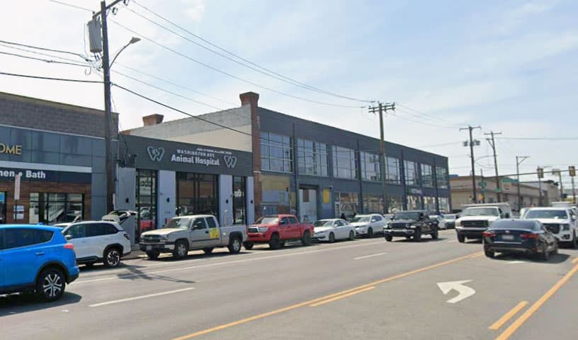 Washington Ave Animal Hospital