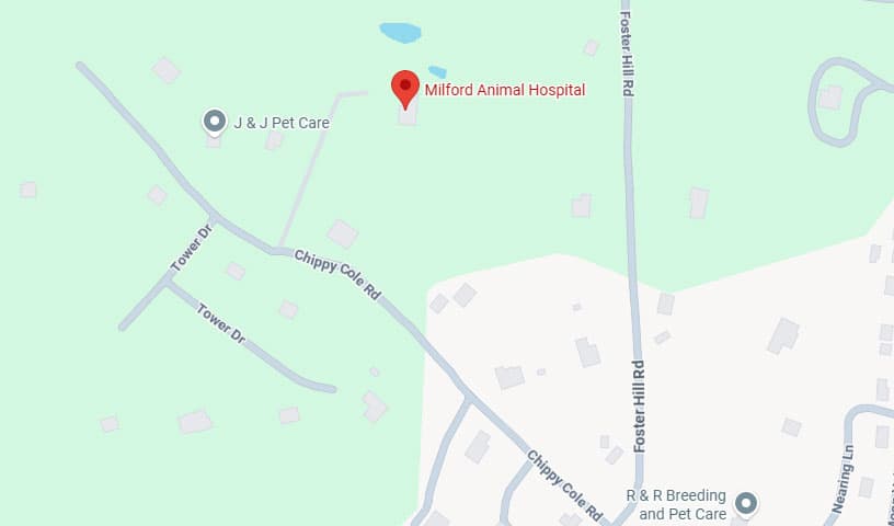Milford Animal Hospital