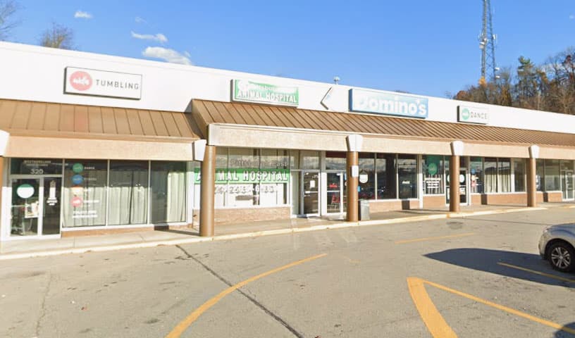 Pittsburgh East Animal Hospital