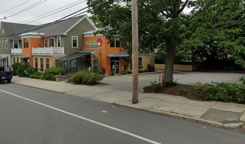 City Kitty Veterinary Care for Cats