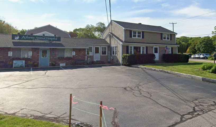 Atlantic Animal Hospital & Wellness Center
