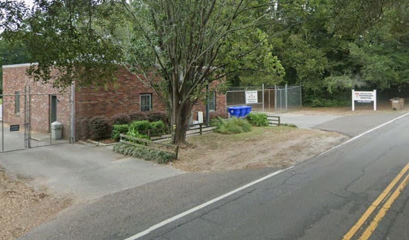 Sea Islands Veterinary Hospital