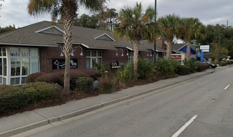 Cats Only Veterinary Hospital