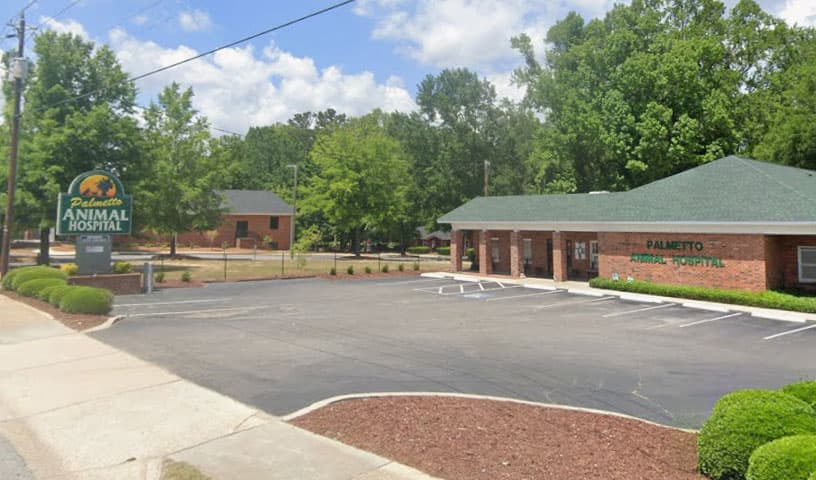 Palmetto Animal Hospital